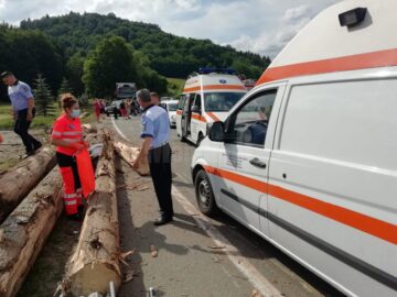 Bușteni pe post de catapulte din mașina condusă de un șofer de 24 de ani