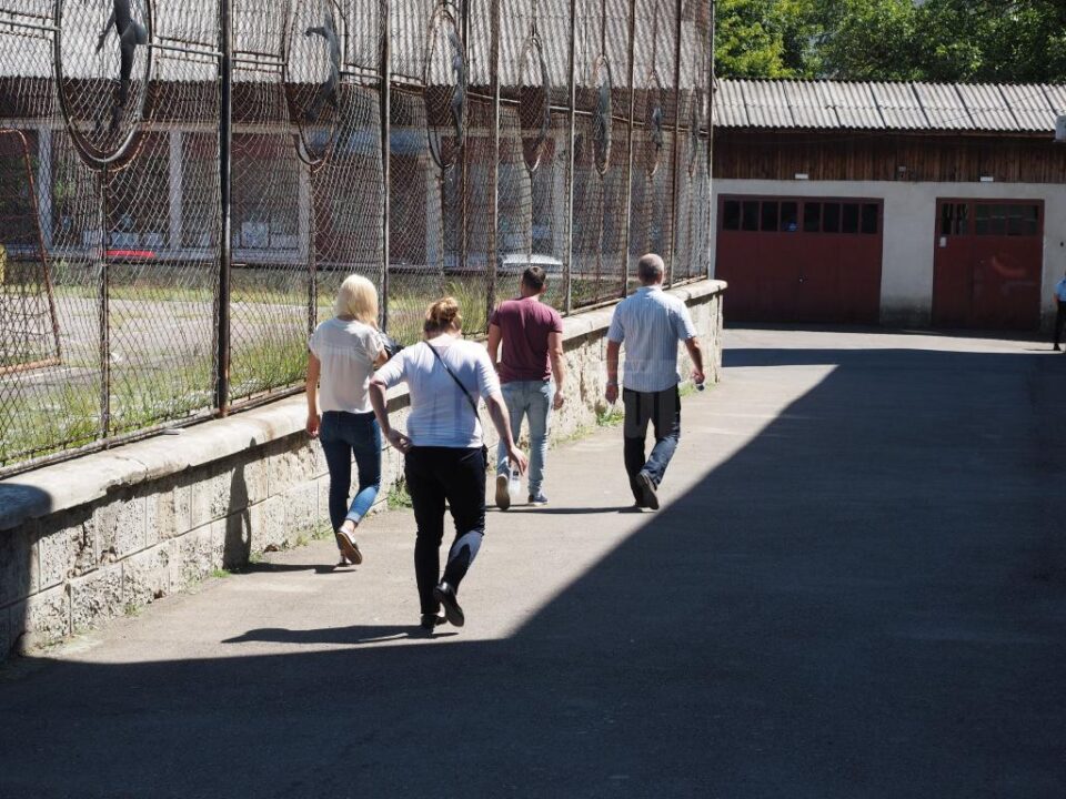 Peste 260 de cadre didactice sucevene vor susține miercuri examenul de definitivat