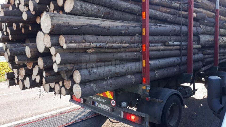 Transporturi oprite marți seara