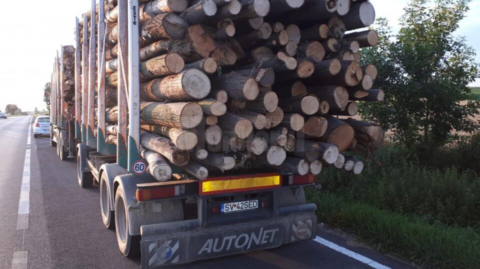 Transporturi oprite marți seara