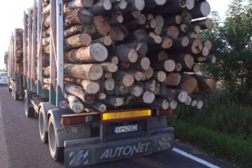 Transporturi oprite marți seara Transporturi oprite marți seara