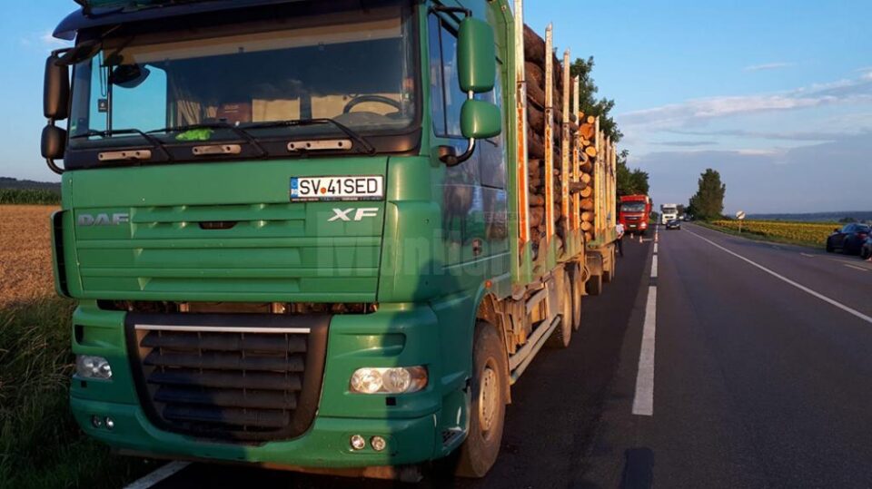 Transportatorii de lemne își bat joc de șosele și sfidează autoritățile de control