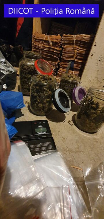 Recipiente, pungi și plicuri conținând fragmente vegetate susceptibile a fi substanțe cu efect psihoactiv, ridicate în timpul perchezițiilor domiciliare