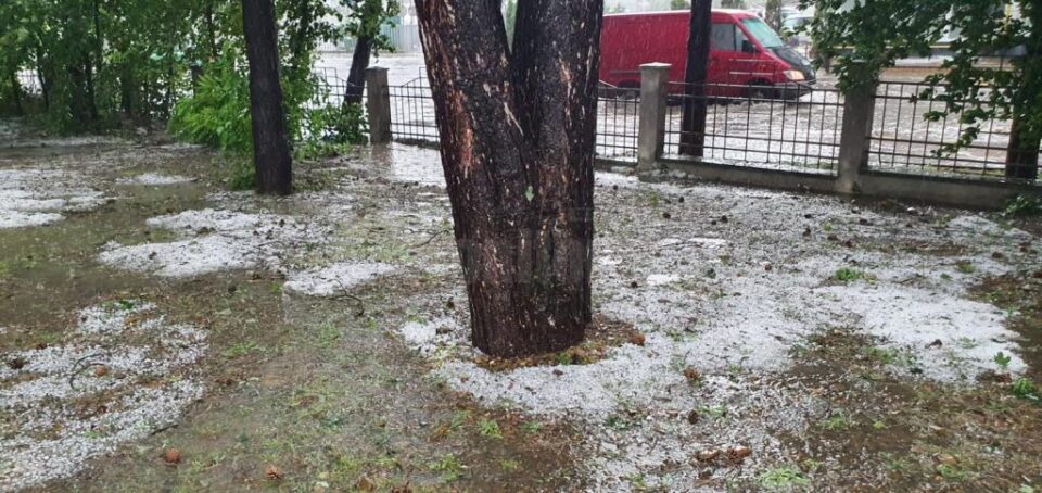 gheata suceava1