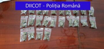 Recipiente, pungi și plicuri conținând fragmente vegetate susceptibile a fi substanțe cu efect psihoactiv, ridicate în timpul perchezițiilor domiciliare