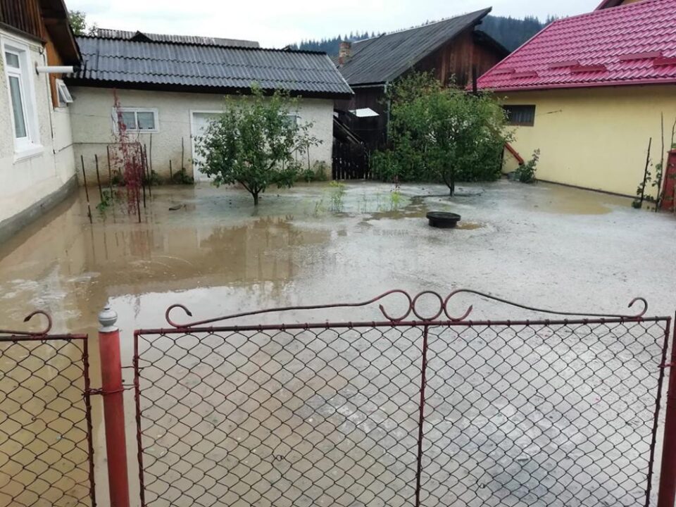 Curți inundate