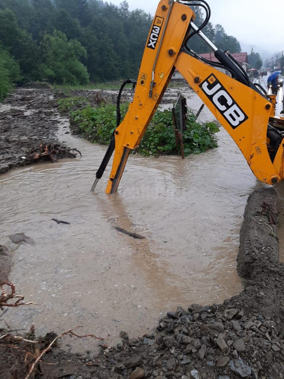 Curți și drumuri inundate la Ostra, în urma unei ploi violente