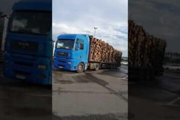 Camionul supraîncărcat cu lemn