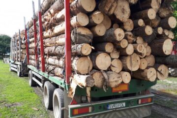 Camionul oprit la Solca