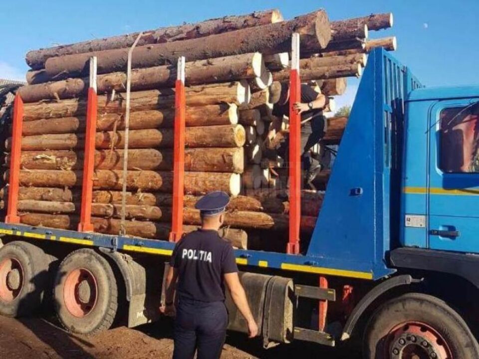 Autocamion incarcat cu lemn
