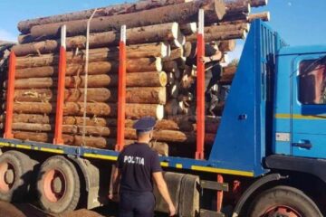 Autocamion incarcat cu lemn