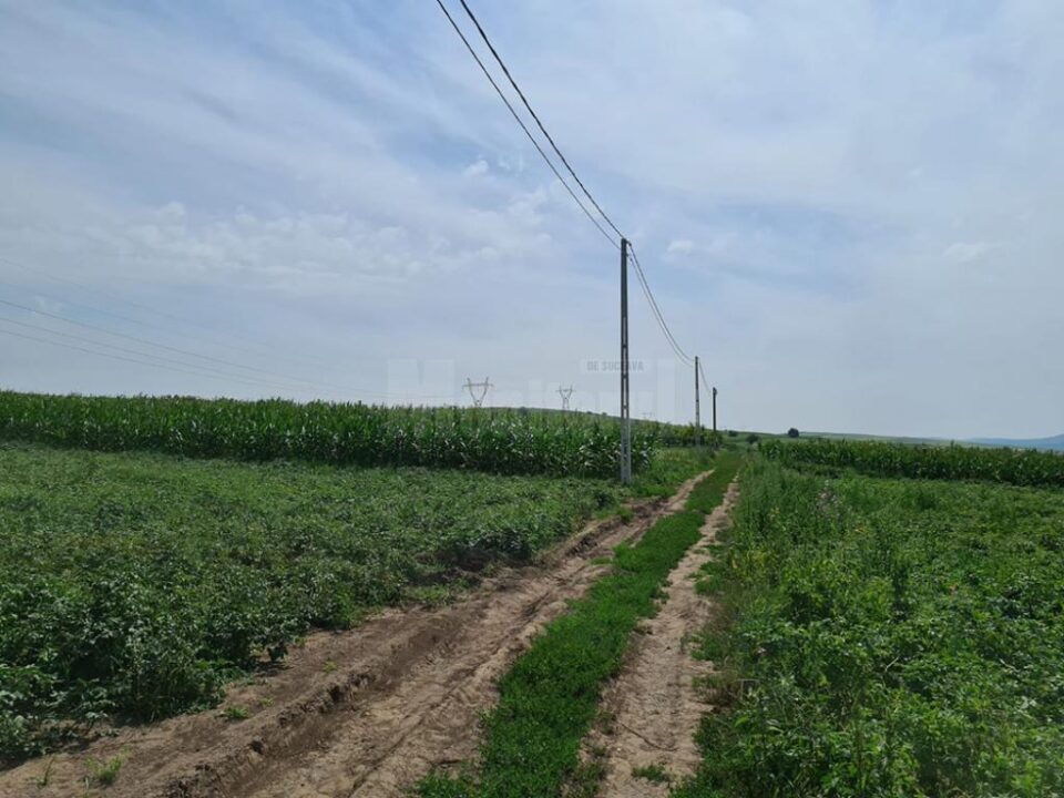 Extindere rețea electricitate pe un drum care duce doar către o seră