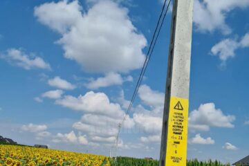 Rețea de electricitate printre popușoaie, lângă proprietatea primarului