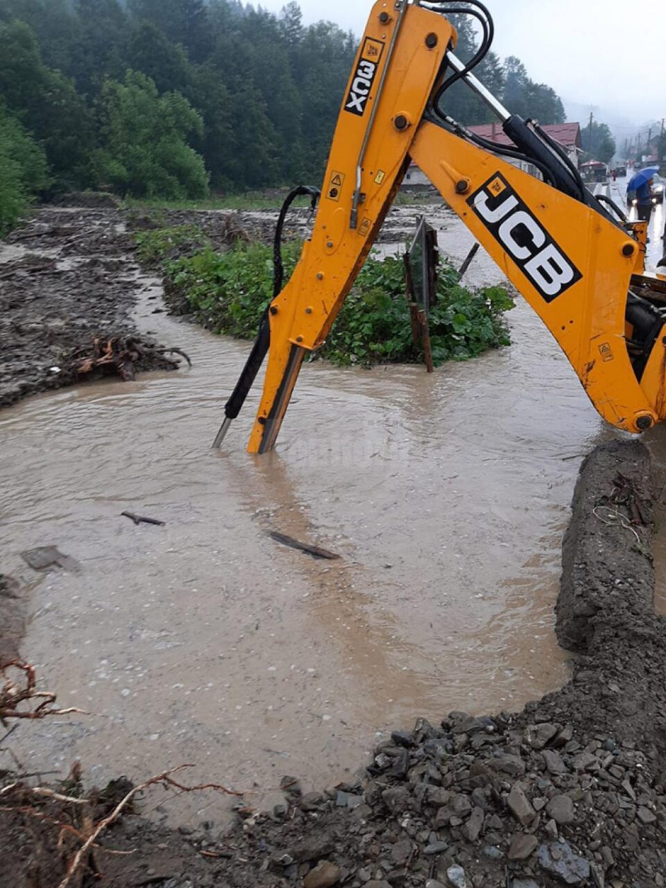 Curți și drumuri inundate la Ostra, în urma unei ploi violente