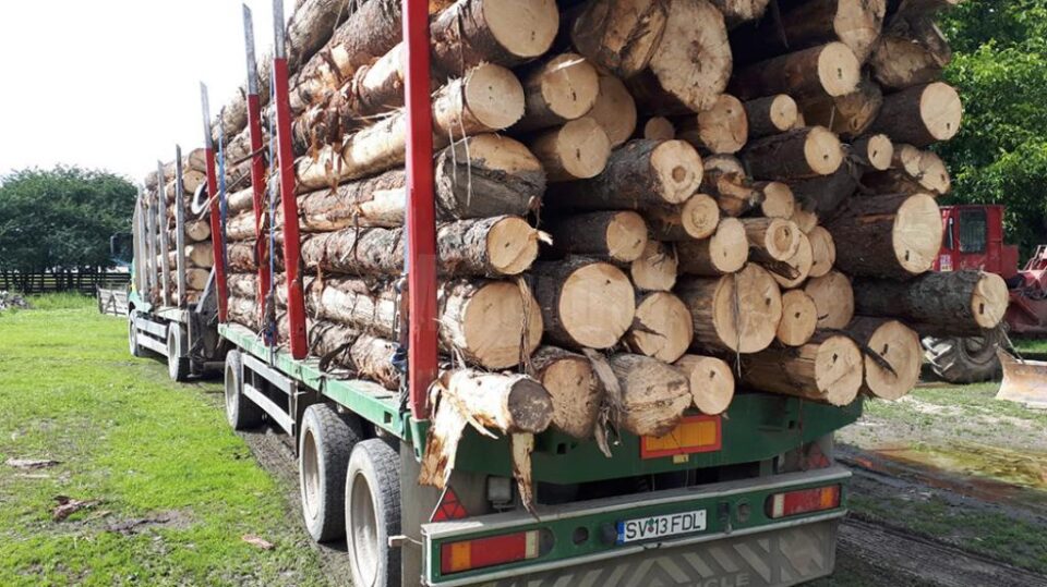 Ofensiva împotriva camioanelor cu lemn produce efecte: transport ilegal oprit după o sesizare la 112
