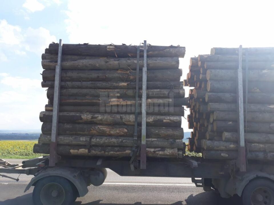 Vizibil supraîncărcat