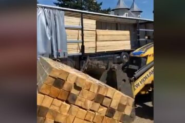 Transportul ilegal de cherestea depistat de Garda Forestieră și IPJ Suceava - foto live Legea Codrului