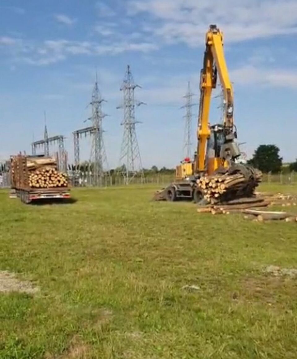 Sancțiuni de 17.000 lei aplicate pentru transporturi de lemn – două cu surplus și unul cu minus