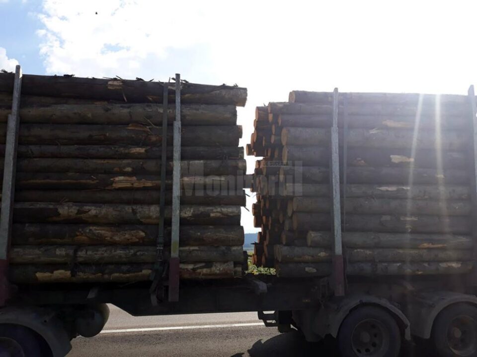 Camioanele cu lemn nu se mai ”strecoară” pe șosele: vehicul cu 13 tone în plus, oprit la Gălănești