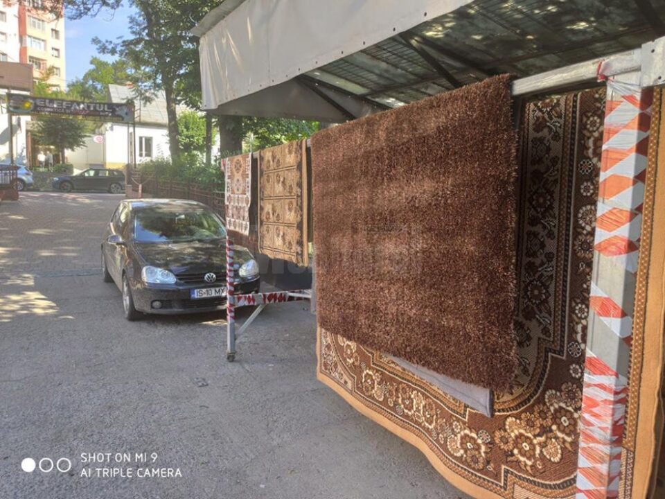 La „Elefantul” se curăță și se spală chimic covoare