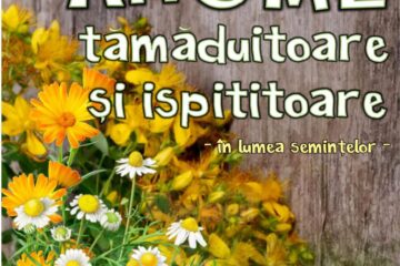 Expoziție la Rădăuți