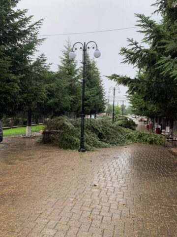 Grindina a făcut prăpăd la Dolhasca: peste o sută de acoperișuri de casă sunt afectate