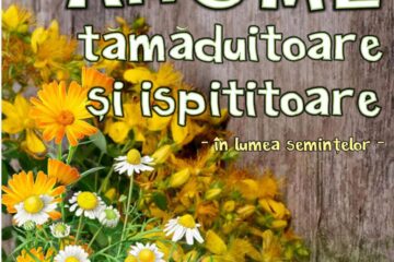 Expoziția ,,Arome tămăduitoare și ispititoare din lumea semințelor”, la Rădăuți