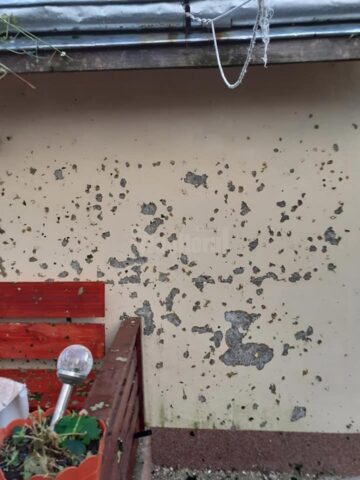 Grindina a făcut prăpăd la Dolhasca: peste o sută de acoperișuri de casă sunt afectate