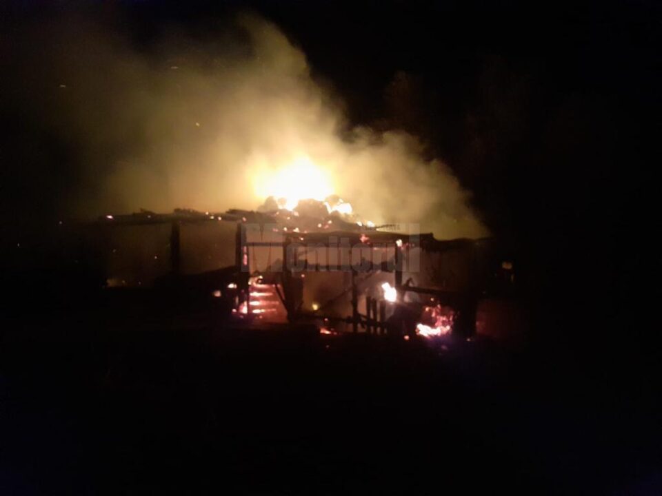 Incendiul a cuprins grajdul din care animalele nu au mai putut fi salvate Incendiul a cuprins grajdul din care animalele nu au mai putut fi salvate