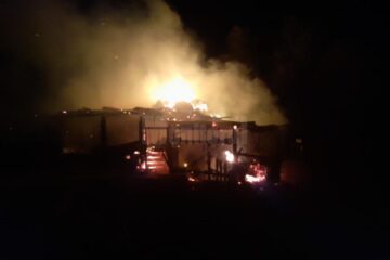 Incendiul a cuprins grajdul din care animalele nu au mai putut fi salvate