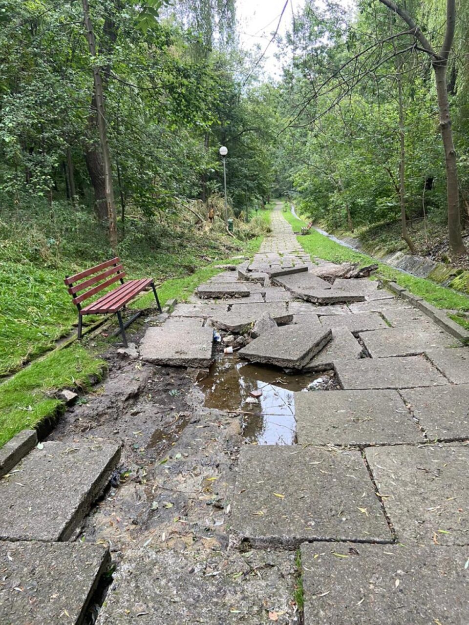 Parcul ”Șipote”, devastat Parcul ”Șipote”, devastat