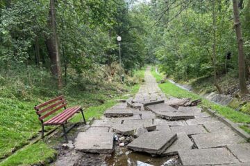 Parcul ”Șipote”, devastat