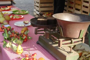 „Comercializarea legumelor și fructelor”
