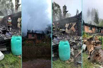 Incendiile au fost devastatoare