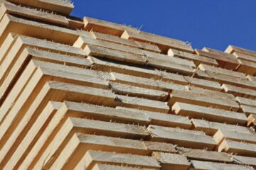 Lemn de peste 40.000 de lei, confiscat în urma unui control