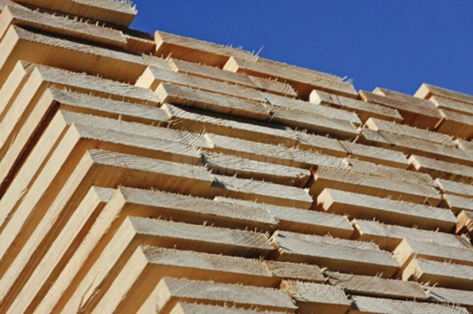 Lemn de peste 40.000 de lei, confiscat în urma unui control