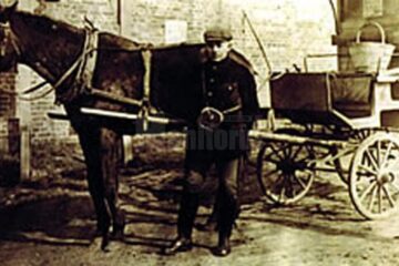 „Cum arată Suceava”