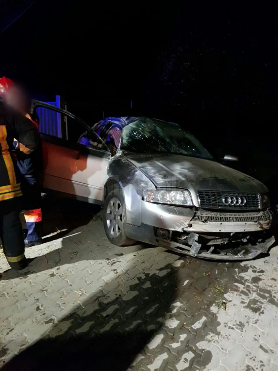 accident arbore3