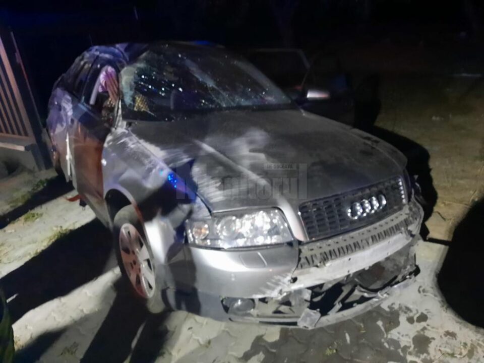 accident arbore1