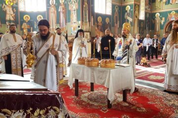 „Răbdarea și îngăduința să fie însoțite de smerenie”