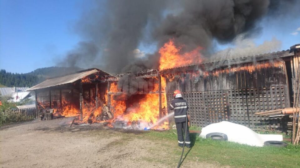 Incendiul de la Dorna Arini