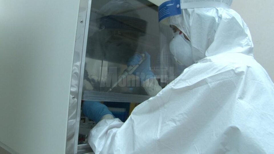 Testare Covid in laboratorul Spitalului Suceava Testare Covid in laboratorul Spitalului Suceava