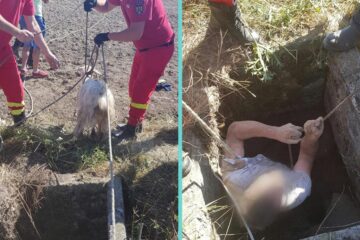 Bărbat salvat de pompieri din fântâna în care a intrat după o capră