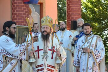 PS Damaschin: „Să nu luăm hotărâri pripite atunci când suntem tulburați”