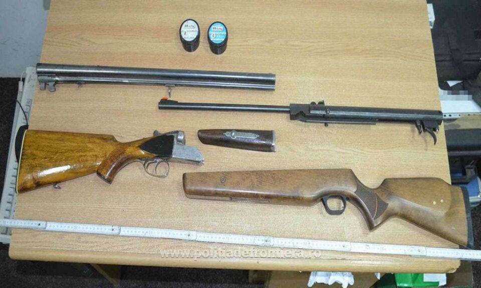 Armele de vânătoare descoperite de câinele polițist Abay