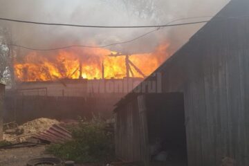 A provocat un incendiu devastator după ce a igienizat poiata păsărilor cu flacără