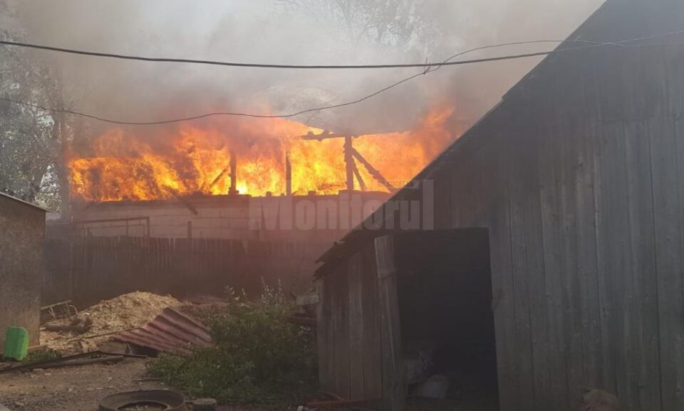 A provocat un incendiu devastator după ce a igienizat poiata păsărilor cu flacără