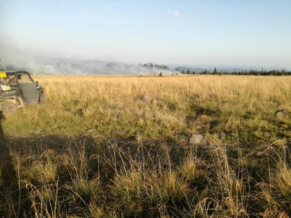 Incendiu de vegetație în Munții Călimani
