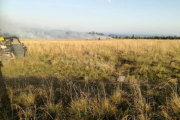 Incendiu de vegetație în Munții Călimani