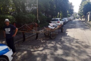 Prins cu calul și căruța pe strada 6 Noiembrie, a luat calul și-a plecat, neavând bani de amendă